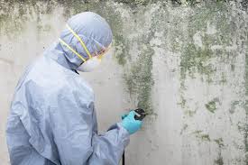 Mold Removal for HVAC Installations in Deer Park, OH